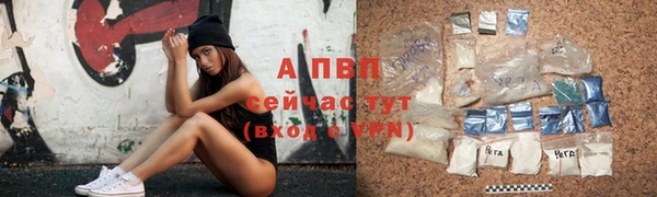 прущие крисы Верея